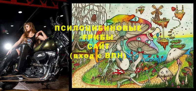 Галлюциногенные грибы MAGIC MUSHROOMS  Заозёрный 